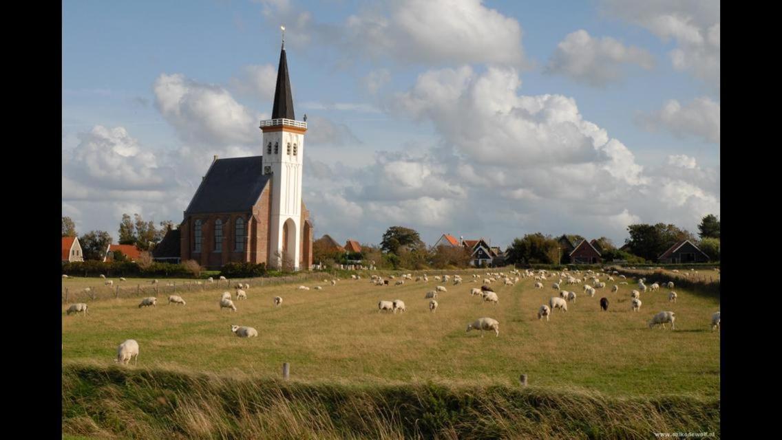 Texelzon Lägenhet Den Hoorn  Exteriör bild